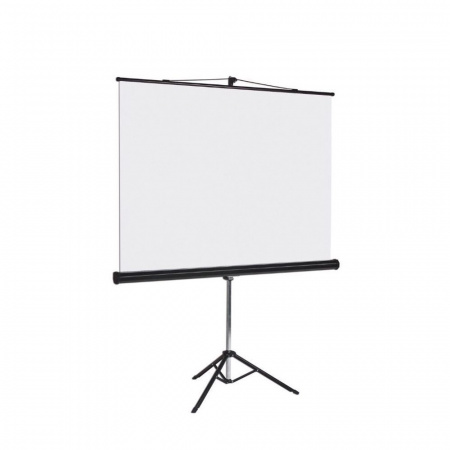 ПРОЕКЦИОННЫЙ ЭКРАН В ТУБУСЕ 200Х200 СМ